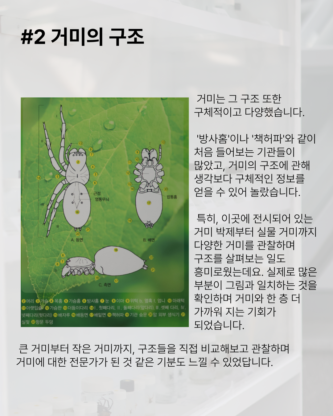 ad11ee8e004bda55da18e22f7f0ec8db_1758002895_4712.png