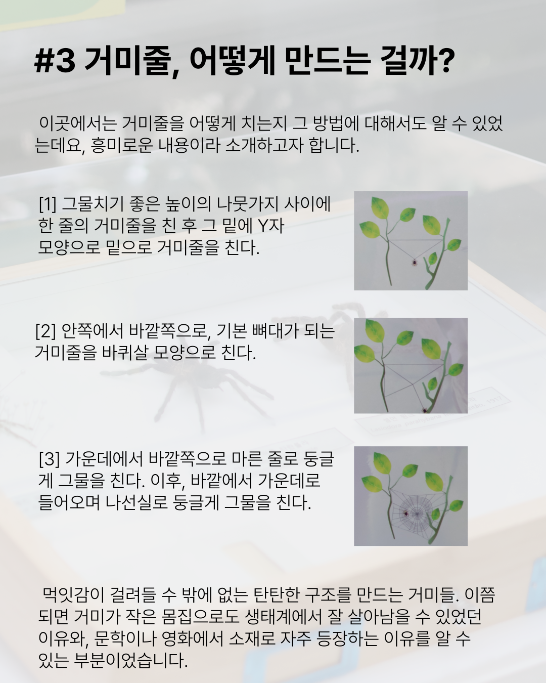 ad11ee8e004bda55da18e22f7f0ec8db_1758002895_8172.png